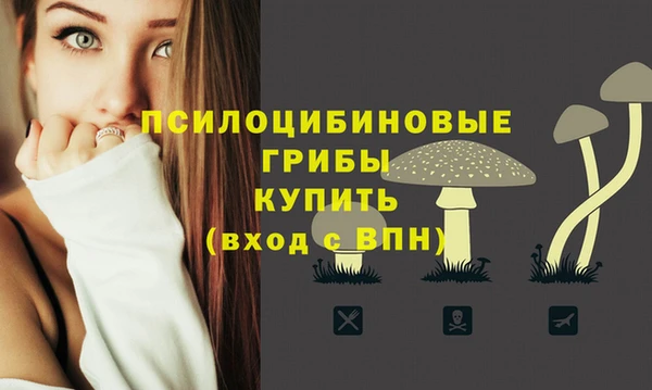дживик Абаза