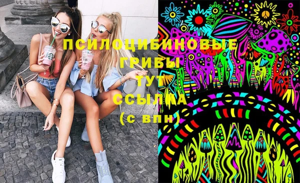 ПСИЛОЦИБИНОВЫЕ ГРИБЫ Абдулино